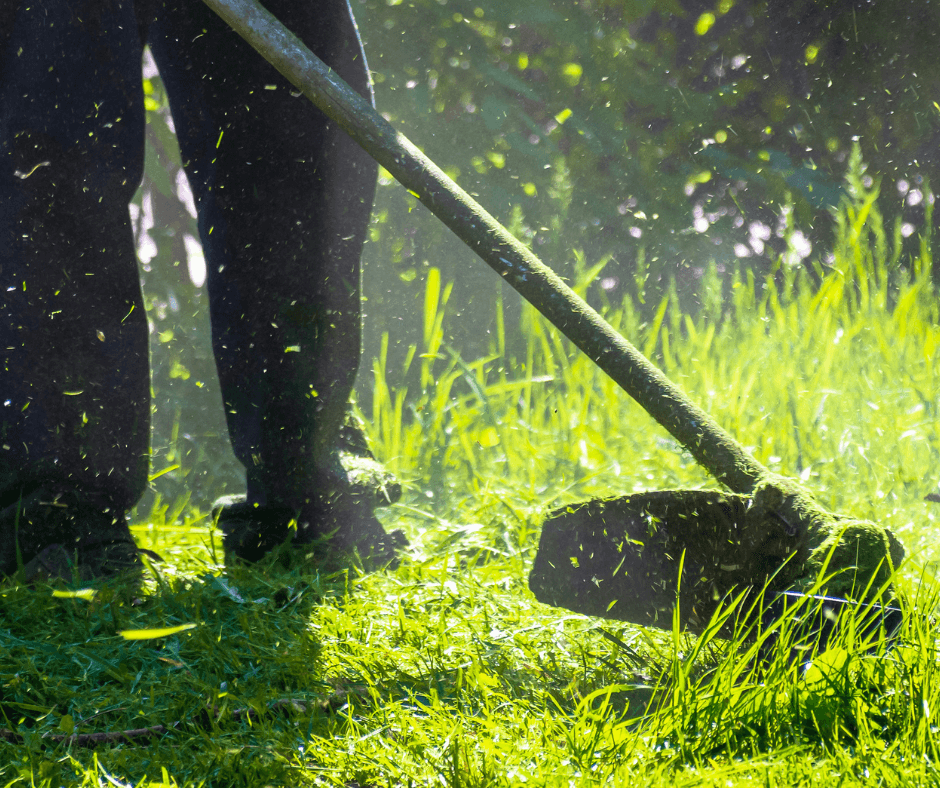 Lawn care services, New Hamburg ON